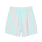 SHYNEEN STRIPES SWIMSHORT