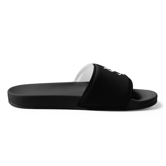 SHYNEEN LOGO SLIDES